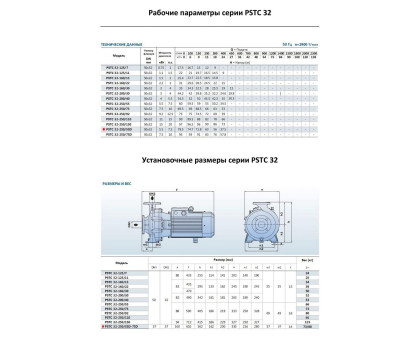 Насосный агрегат моноблочный фланцевый PURITY PSTC 32-250/55D