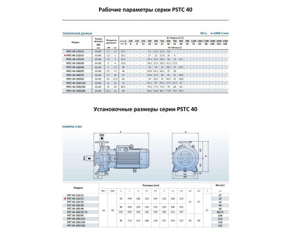 Насосный агрегат моноблочный фланцевый PURITY PSTC 40-125/15